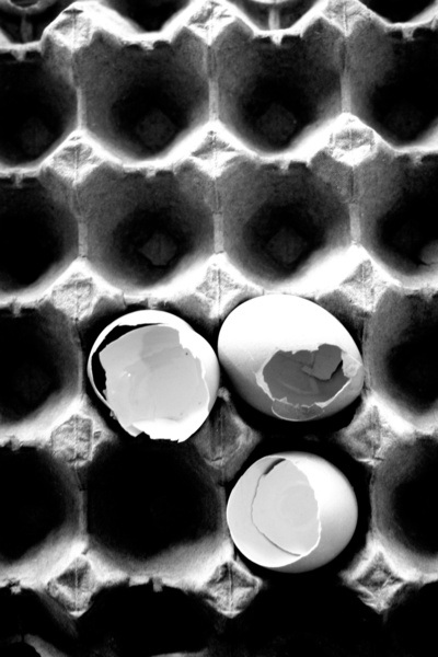 Eggs. Serena Wilson Stubson, society6