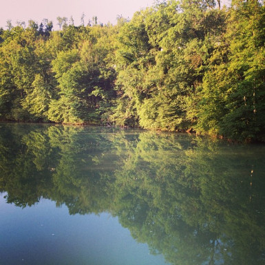 f1a51f86e20b11e2a34522000ae80008_7